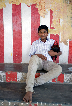 Surya & his rooster, Thirupparankundram, Tamil Nadu...