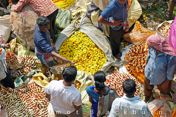 Mullik Ghat flower market, Howrah, Kolkata
