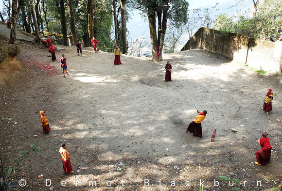 Young monks playing cricket, Ghoom, Darjeeling