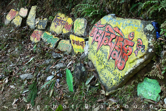 Mani stones at Rumtek, Sikkim