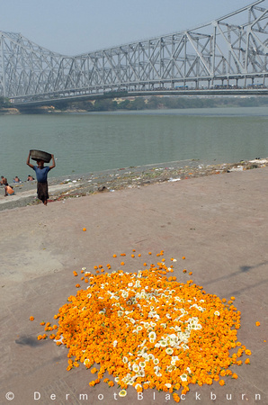 Mullik Ghat & Howrah bridge, Kolkata