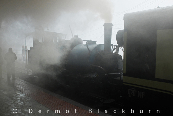 Steam Locomotive, Darjeeling