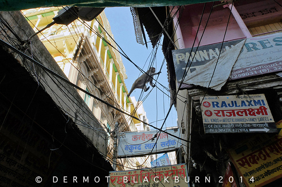 High Wire Act, Varanasi, Uttar Pradesh