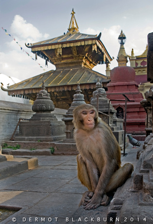 Swayambunath, Kathmandu