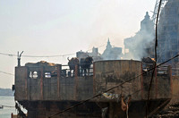 Cattle at the Burning Ghat, Varanasi,Uttar Pradesh