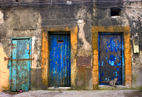Three Doors & one cat, Essaouira, Morocco