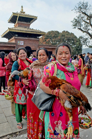 Temple offerings, Pokhara, Nepal