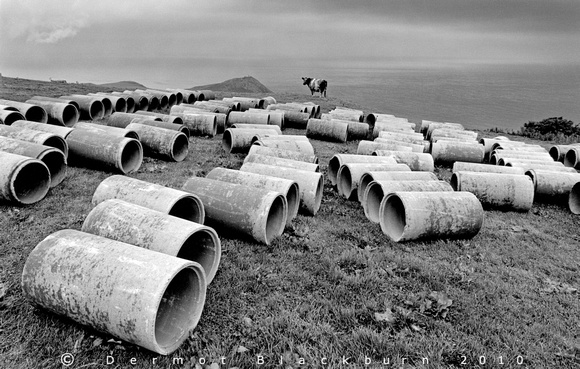 'The Pipes, the Pipes are Calling', Torr Head, Antrim Coast