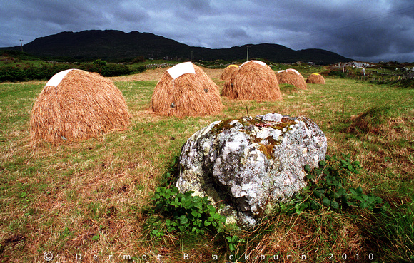 John Mongan's Haycocks, Eirlach, Connemara