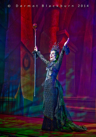 Lorraine Chase as 'Carabosse'