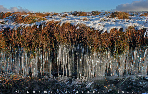 Frozen Peat Bog, Antrim Plateau.
