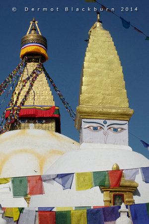 Stupas & prayer flags, Boudhanath, Kathmandu